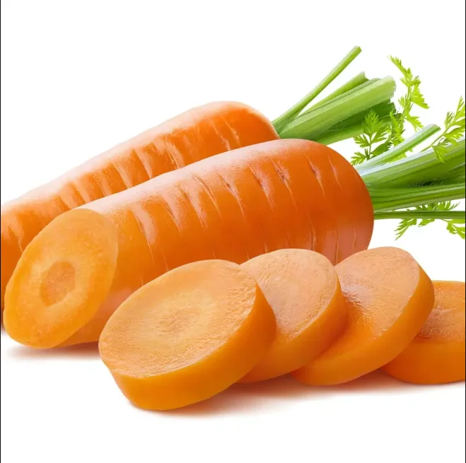 chinese fresh carrot S M L 2L 3L Shandong new crop Qingdao port