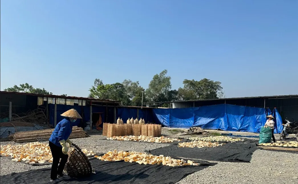 Wholesale Handwoven Bamboo Mat Table Placemats Set Coaster Accessories Table Decoration Vietnamese Supplier Woven Square Pattern