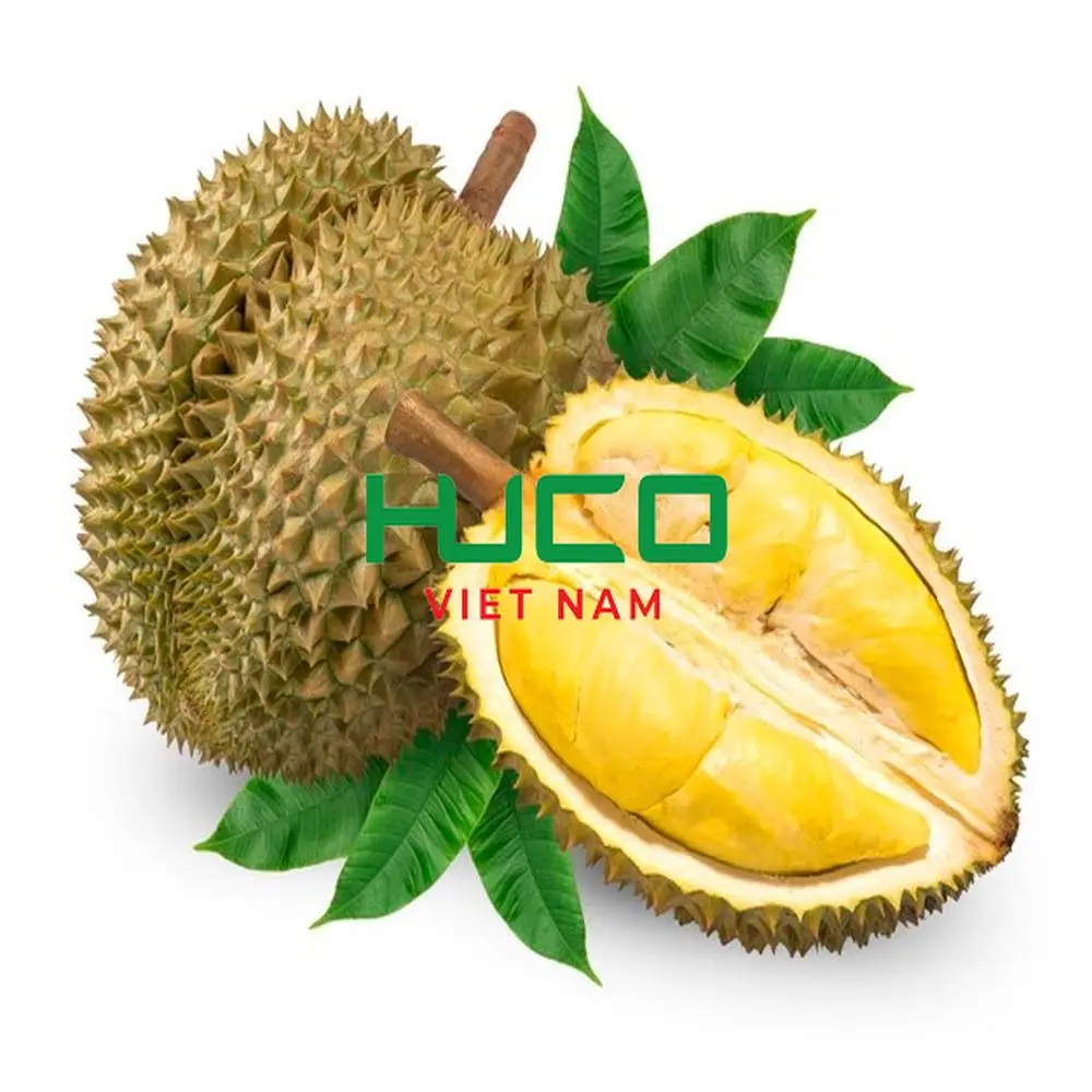 Fresh Durian Fruit from Vietnam High Quality at Cheap Price for worldwide shipping