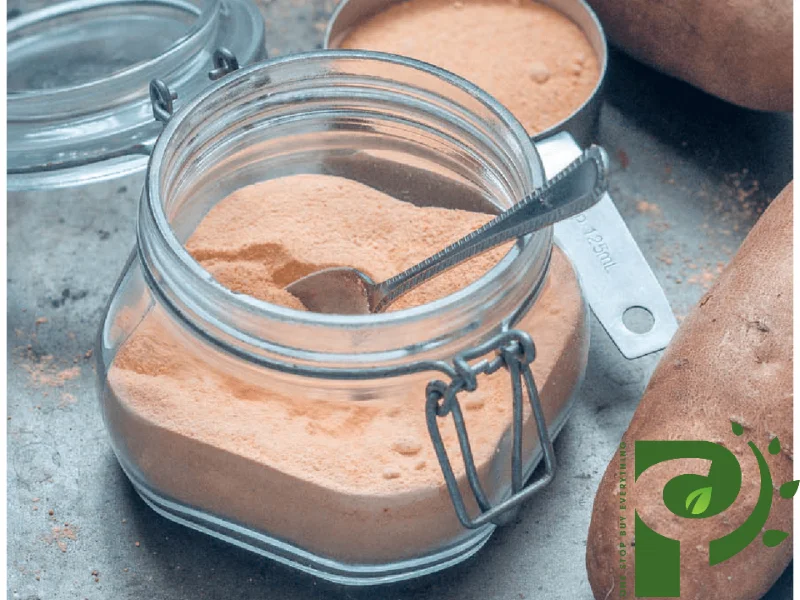 Yellow sweet potato powder high quality agriculture of the best supplier from vietnam