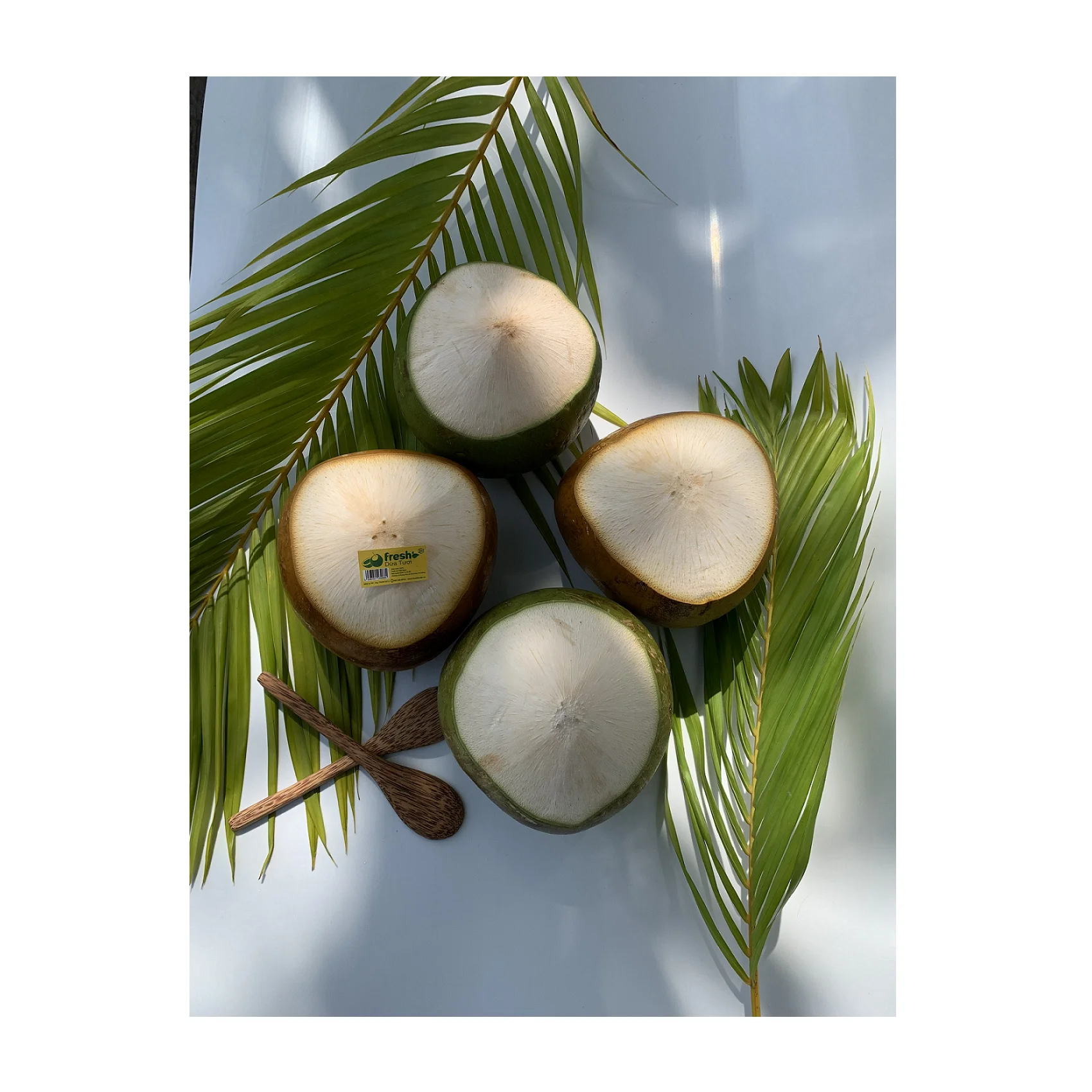 Trusty Healthy Fresh Fruit Juicy Safety Nice Looking Hat Cut Shape Convenient Coconut With Cheap Price