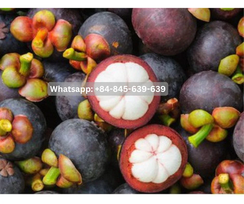 Unlock the power of nature with our range of mangosteen-based products.