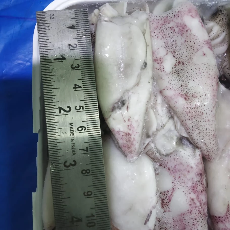 SQUID WHOLE TRAY PACK