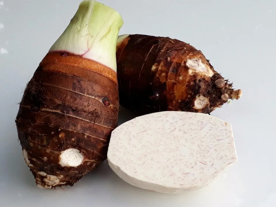 Competitive Price  Quality Best Selling Latest Store Top Grade Organic Natural Taro Root from Indian Exporter from Brazil