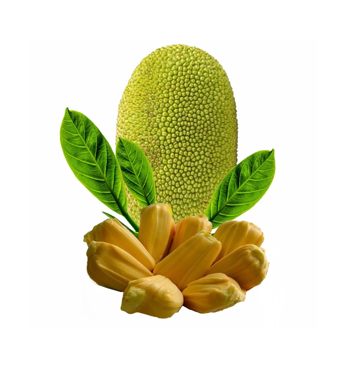 International Quality Tropical Fruit Sweet Good Taste Fresh Jackfruit 100% Organic Natural Yellow Color Ready To Ship