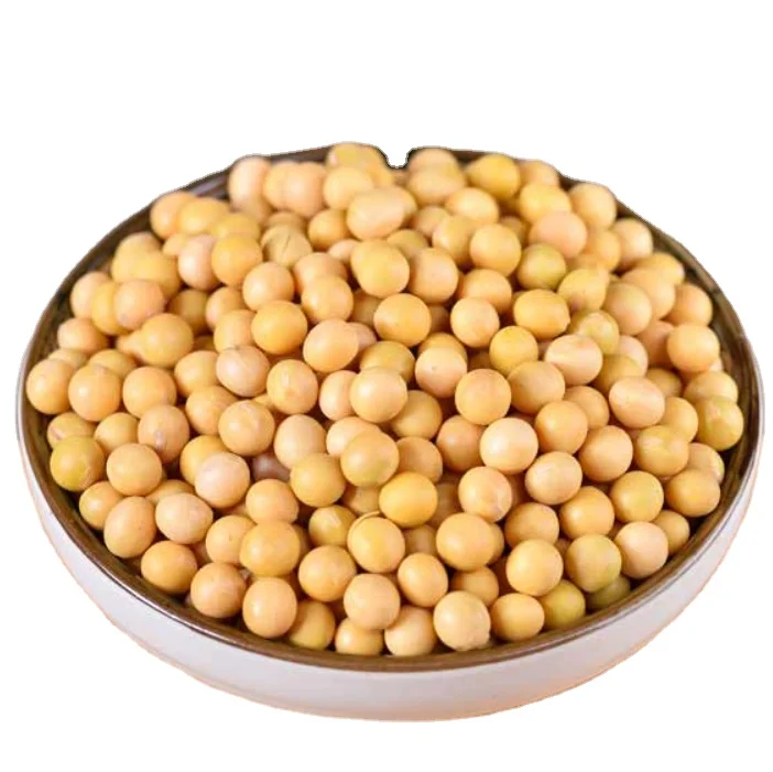 100% Organic Soybeans NON-GMO Soya Beans at Wholesale Price