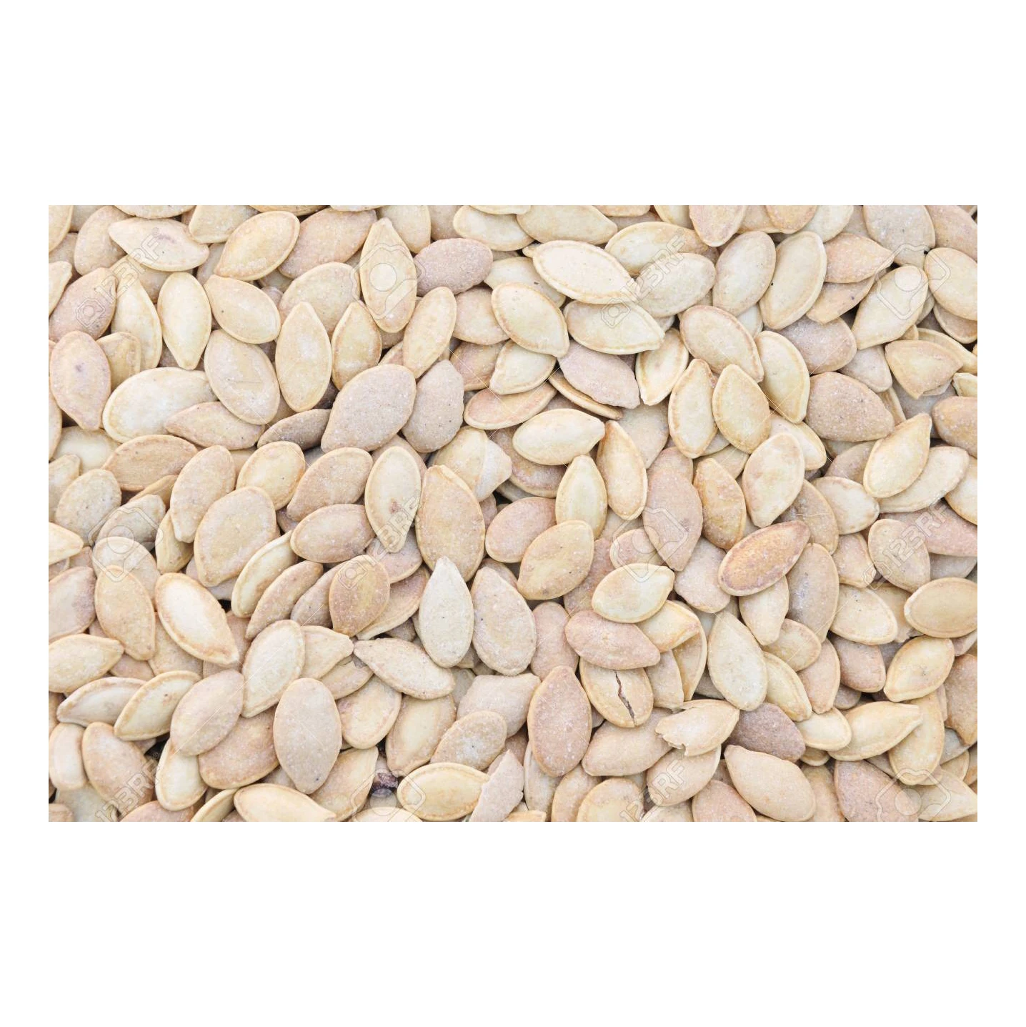 Качественные семена белого арбуза большого/маленького размера