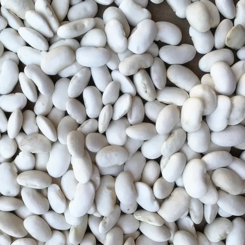 White Beans In 50kg Bag Dried White Kidney Beans For Sale