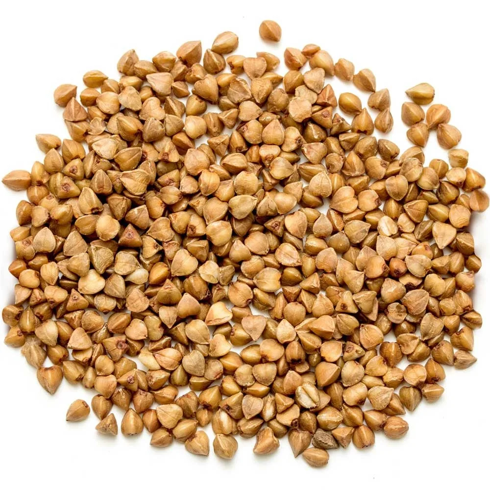 Wholesale Supplier of Natural Quality Organic Dry Sweet Buckwheat Hulls Bulk Quantity Ready For Export