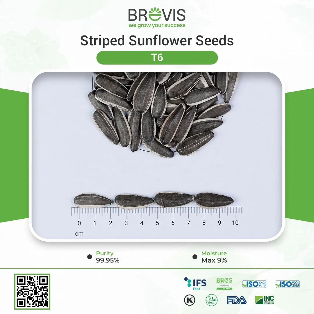 T6 NEW CROP Top Sale Big Size Long Shape Sunflower Seeds Nuts & Kernels Wholesale Snacks Bulgarian Origin BRC Quality Prompt De