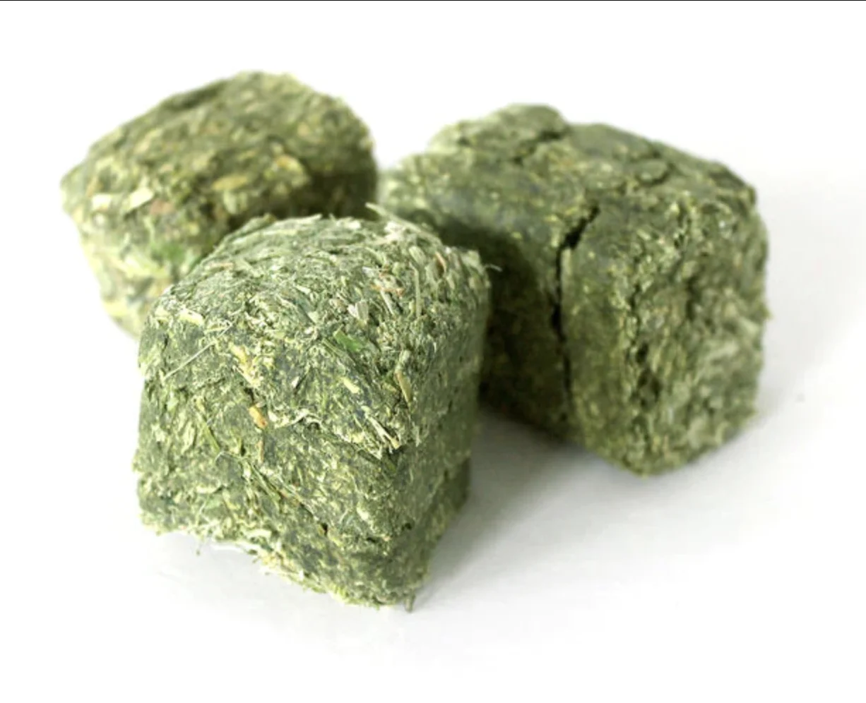 Wholesale Price Alfalfa Hay Dehydrated Alfalfa cubes ready for Export