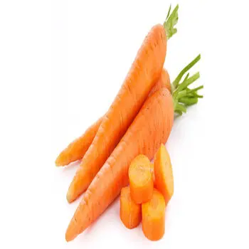 Hot sale ! Wholesales Fresh Vegetables Carrot