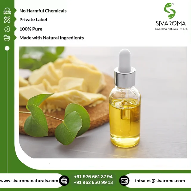 World Wide Wholesale Export 100% Premium Quality Natural Cocoa Butter Essential Oil by Pure Extraction Carrier Oils Manufacturer