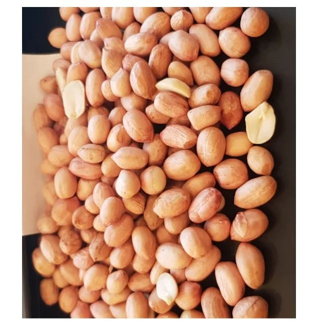 JAVA GROUNDNUT INDIA GREAT QUALITY OF GROUND NUT OFFER PRICE