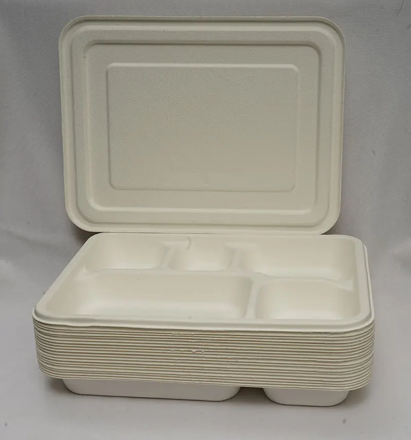 100% Natural Compostable 5 Compartment Meal Trays Disposable Sugarcane Bagasse Square Tableware Meal Tray With Lids