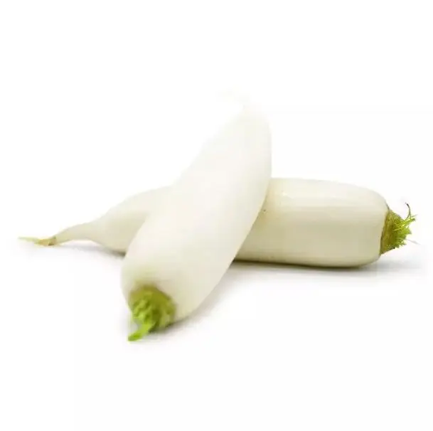 Top Grade Fresh White Radish / Red Radish Whole Price Directly From Factory for sale at affordable price