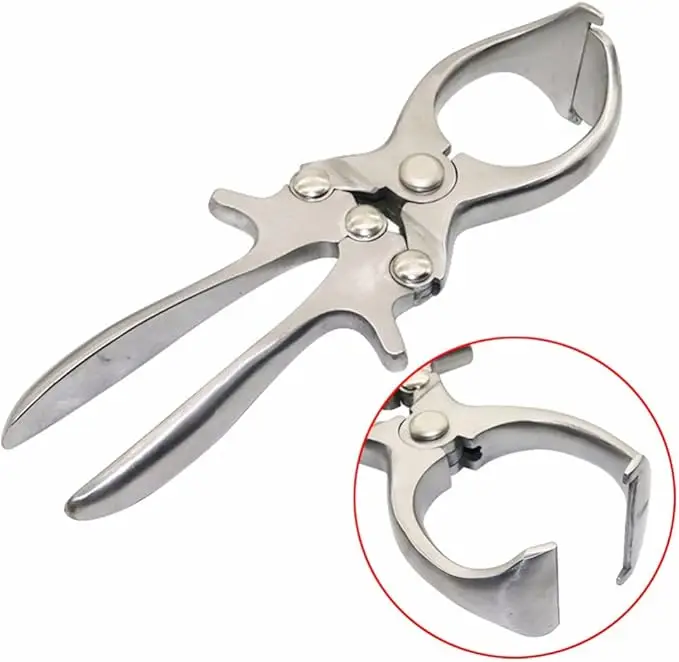 Castration Pliers, Livestock Tools, Stainless Steel Pig Sheep Castration Clamp Castration Tool Castration Forceps
