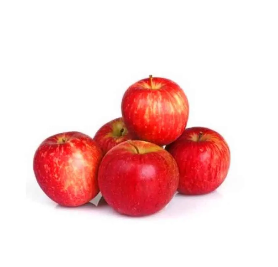 High Quality irani Apples for Sale Pure Organic Sweet taste Apples for sale in low price Direct From Farm Best Apples