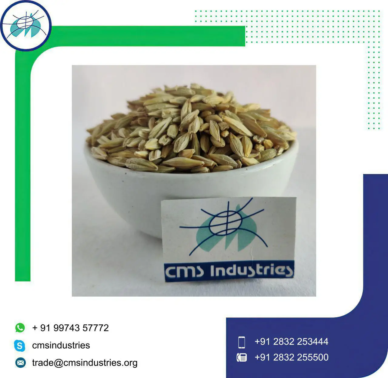 Indian Supplier High Purity Barley