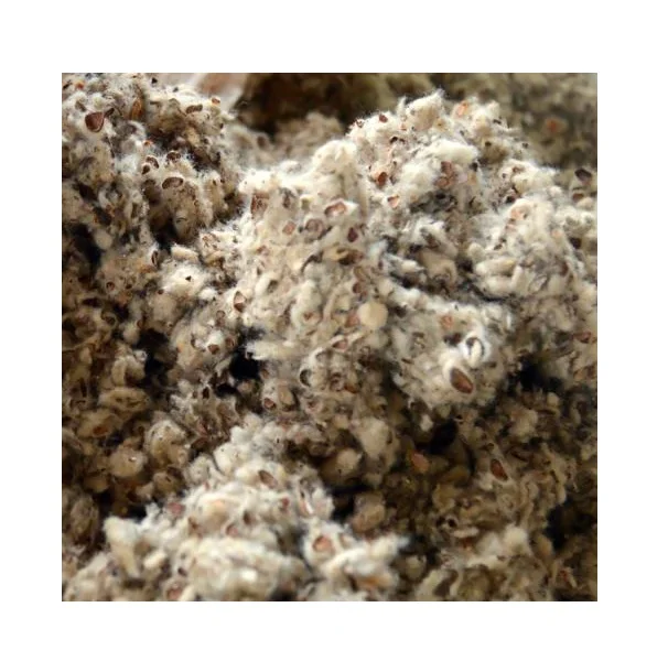 White Cotton Seed Oil Premium Quality Cake Cotton Seed Meal Cotton Seed Hull/raw Cotton/cotton Linter