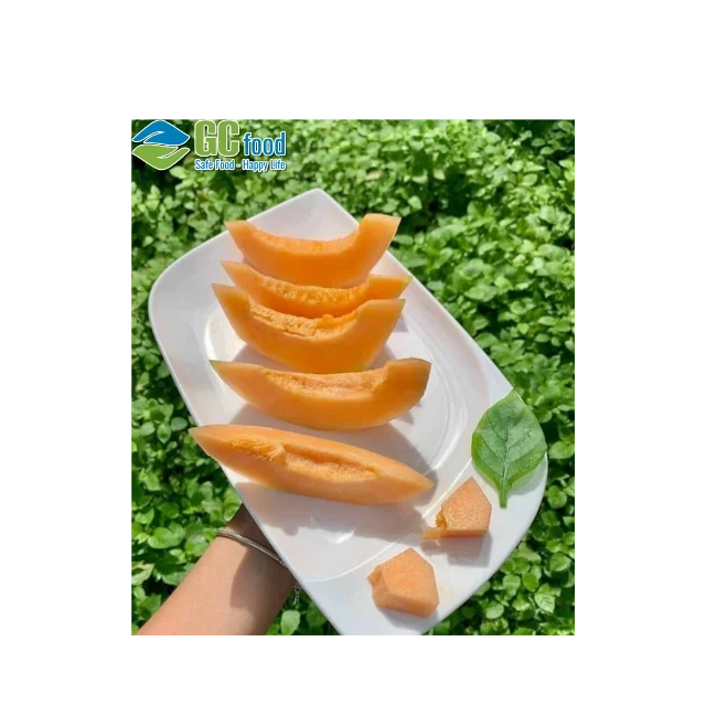 Wholesale Fresh melons -  Cantaloupe  melon seeds  with best quality with LC/TT payment