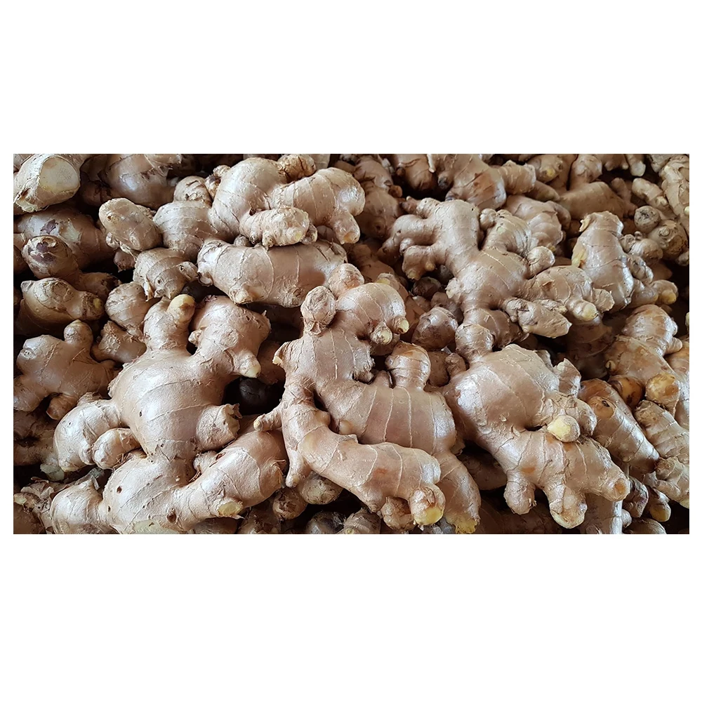 Premium Fresh Ginger High Quality Thai Vegetable from Thailand  Hight Grade Fresh Ginger in Carton