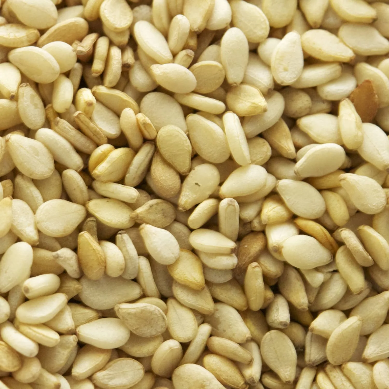 Quality hulled Sesame Seeds 100% Natural White hulled Sesame seeds