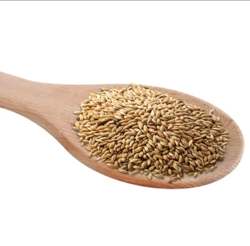 Factory supply canary seed canary bird seed alpiste with good price Wholesale Canary Seeds Organic
