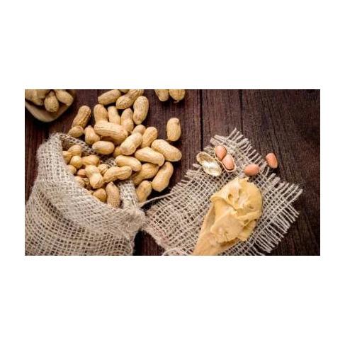 High Quality Raw Peanuts Without Shell Raw Peanuts Blanched Peanuts Peanut Harvester Agriculture Wholesale Natural Organic