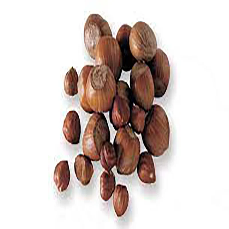 High Quality Made In Italy Delicious blanched hazelnuts 1 kg x10 in 1 Carton Box Wholesale Premium