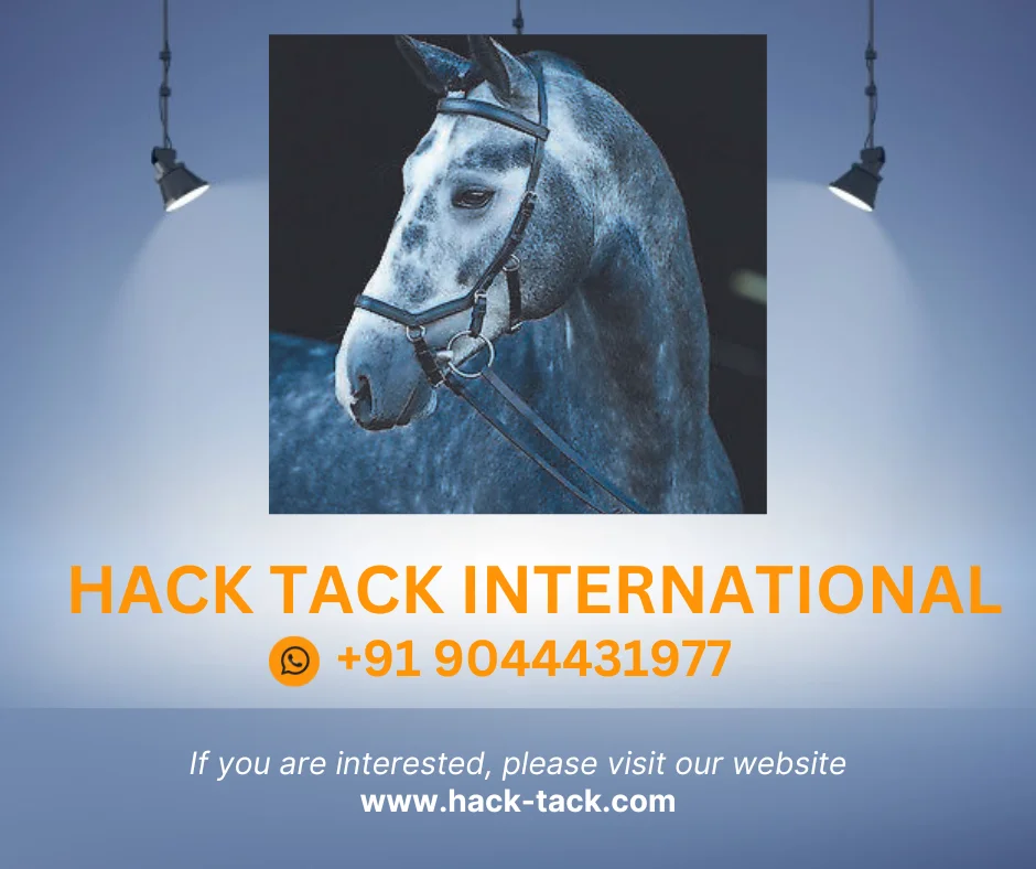 2023 Luxury Micklem Horse Soft Padded Bridle With Rock Crystals And Patent Leather Top Indian Wholesale Manufacturer