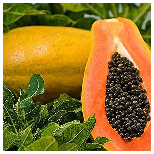 High Quality 100% Natural Fresh Papaya Powder Pure Papaya Fruit Juice Powder