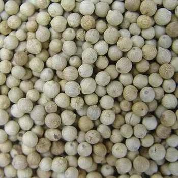 100% raw WHITE PEPPER from Vietnam - KING COFFEE - High quality Best Spices And Best Price With Best Wholesale From Manufacturer