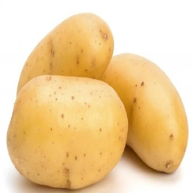 1/6 wholesale irish holland fresh potato seed potatoes potato
