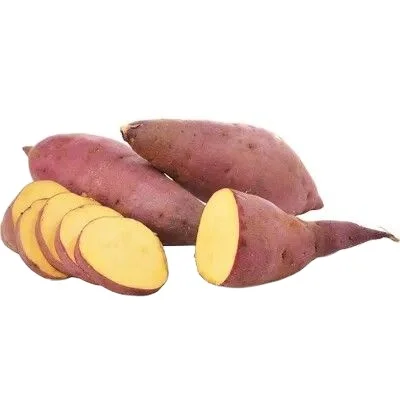 Exporting top quality Japanese sweet potato in bulk from Vietnam