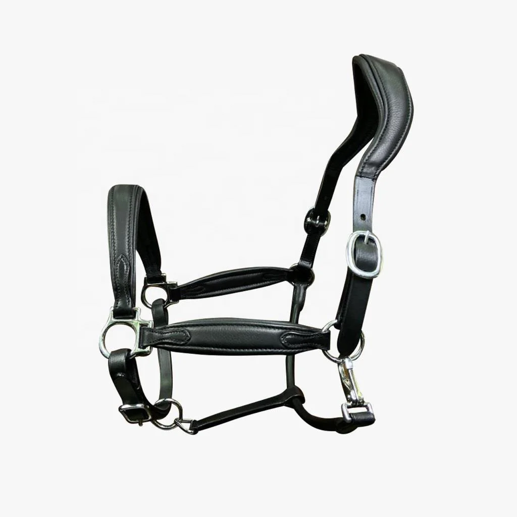 HORSE LEATHER ANATOMICAL HEADCOLLAR HALTER SOFTY PADDED EQUESTRIAN STABLE EQUIPMENT MULTI DESIGNS CUSTOM MANUFACTURER
