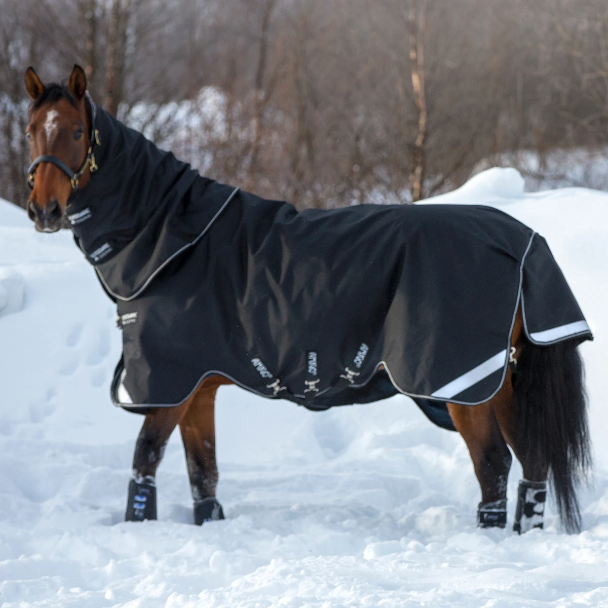 Customized black red equestrian 1200d fabric material waterproof cotton filling quilted stable horse rugs with combo neck cover
