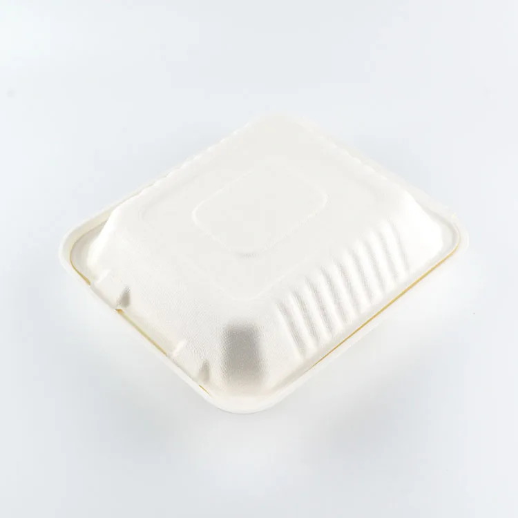 Clamshell Disposable Lunch Box For Catering Eco Friendly Food Containers