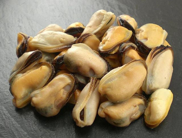 New Season Frozen Blue Mussel Meat
