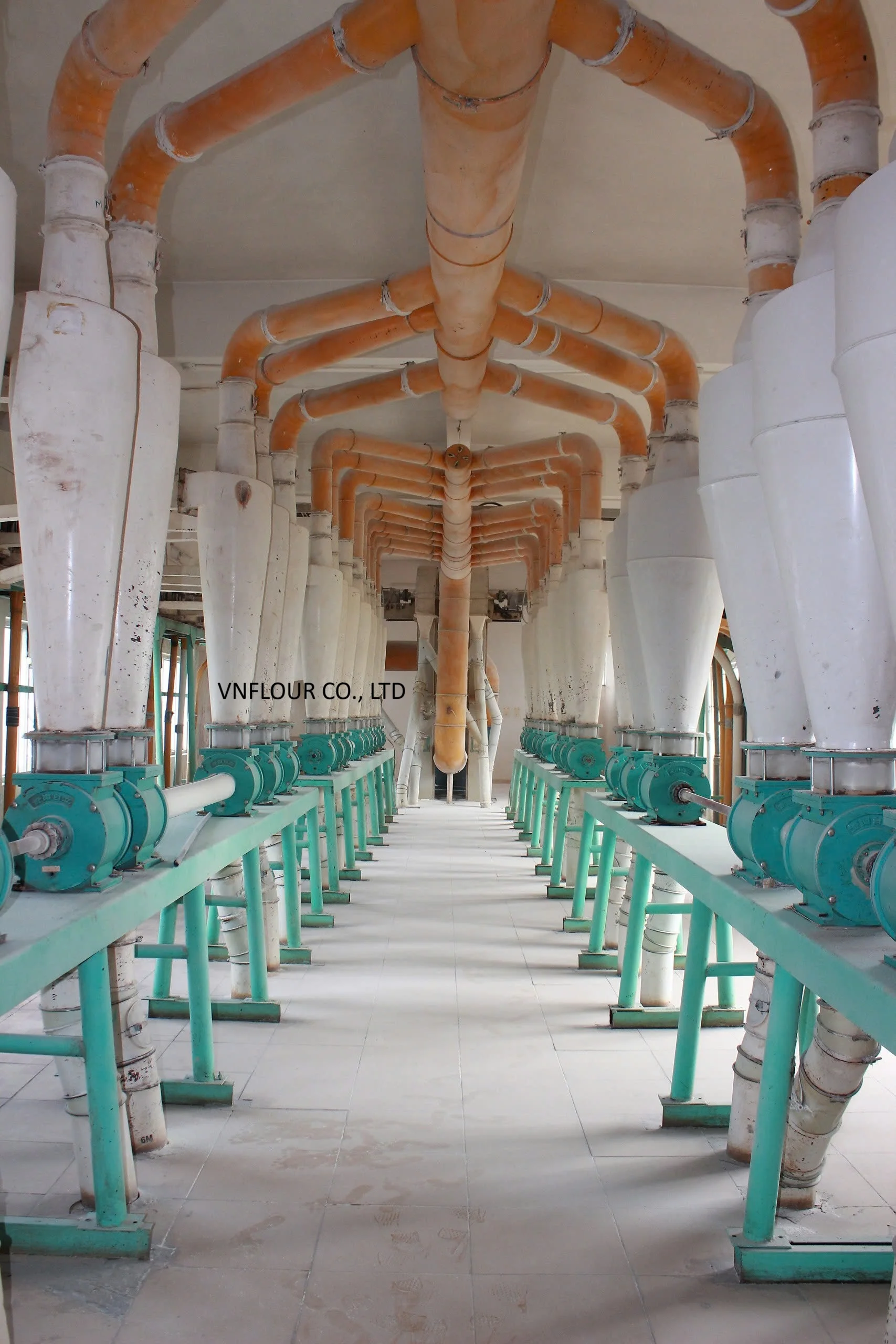 High Quality Wheat Flour, First Grade flour
