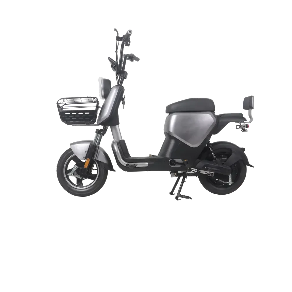 Factory sale Carbon steel Classic mode Electric Tricycle  400W Electric bike for 2 Adults xingtu