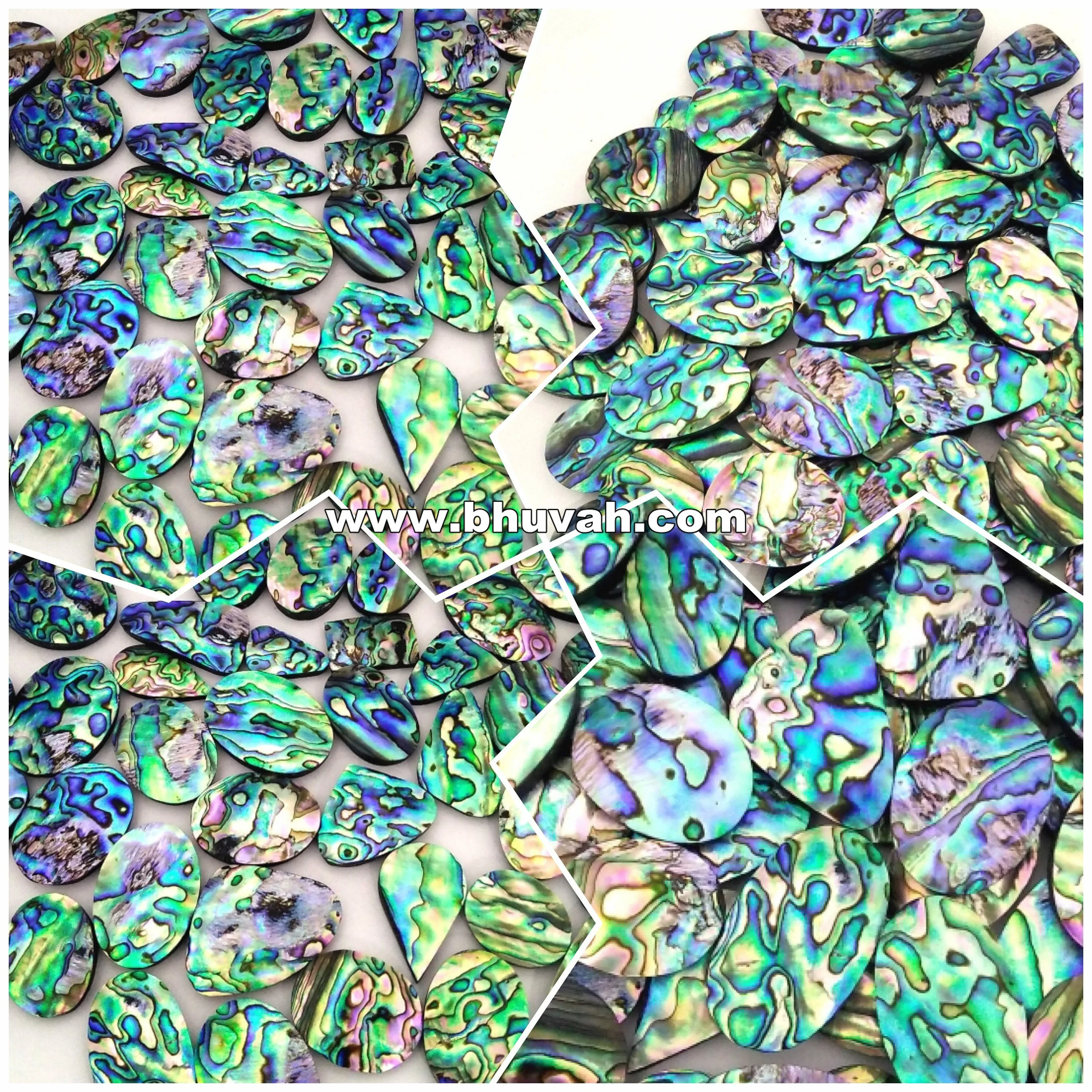 Abalone Natural New Zealand Paua Sea Shell Nice Export Quality in Wholesale Price