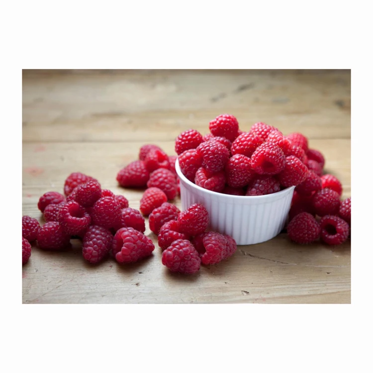 BRC Halal Haccp organic fresh IQF Frozen Red Raspberry Quality Raspberries