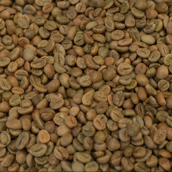 Whole Beans Robusta Espresso Classico 1 Kg Max Bag Green Italy Coffee Packaging Weight Shelf Origin Type Life Grade