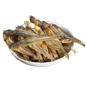 VIETNAM SEAFOOD SPLENDOR AT GREAT PRICE HOT DEAL FOR 2024 DRIED ANCHOVY FISH PRODUCT DELICIOUS SEAFOOD FROM VIETNAM TOM