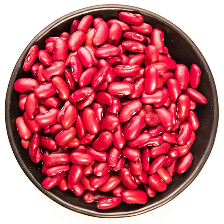 Fast Delivery Highest Quality Dry Red Beans Bulk Wholesale Natural Red Speckled Kidney Beans for Sale
