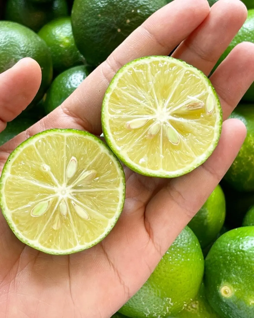 Seedless Lime Fresh Citrus Fruit High Quality Brand Manufacturer Wholesaler Hot Selling From South Aafrica Cheap Price Low MOQ