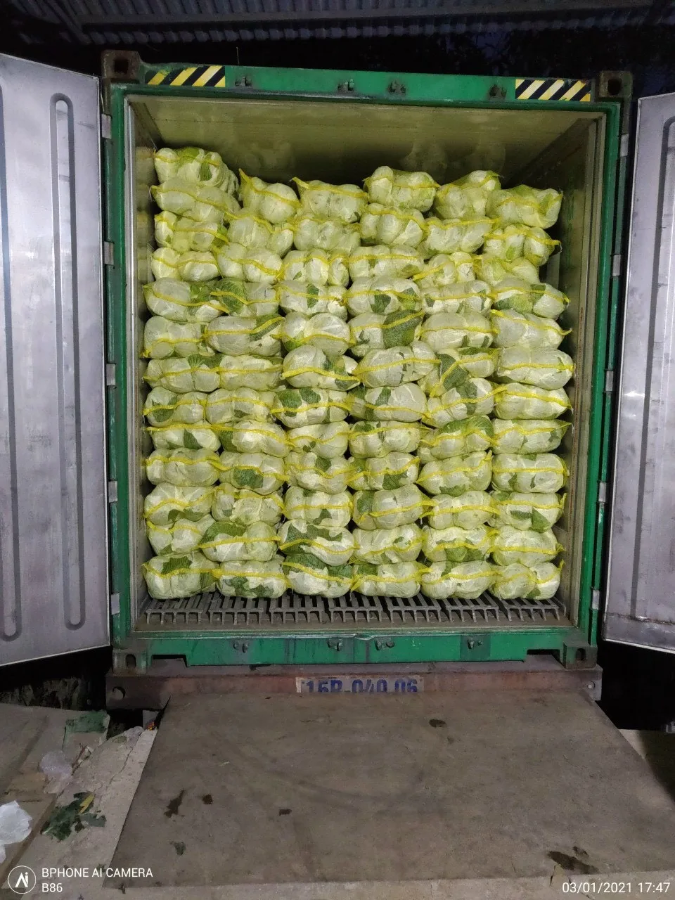 2022 New Crop Fresh Cabbage With Low Price And High Quality from Vietnam