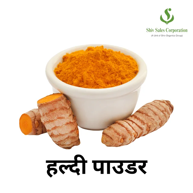 Turmeric Extract Curcuma Longa Extract Powder Best Price Supplement Turmeric Root Extract 95% Curcumin Powder Available for Sale