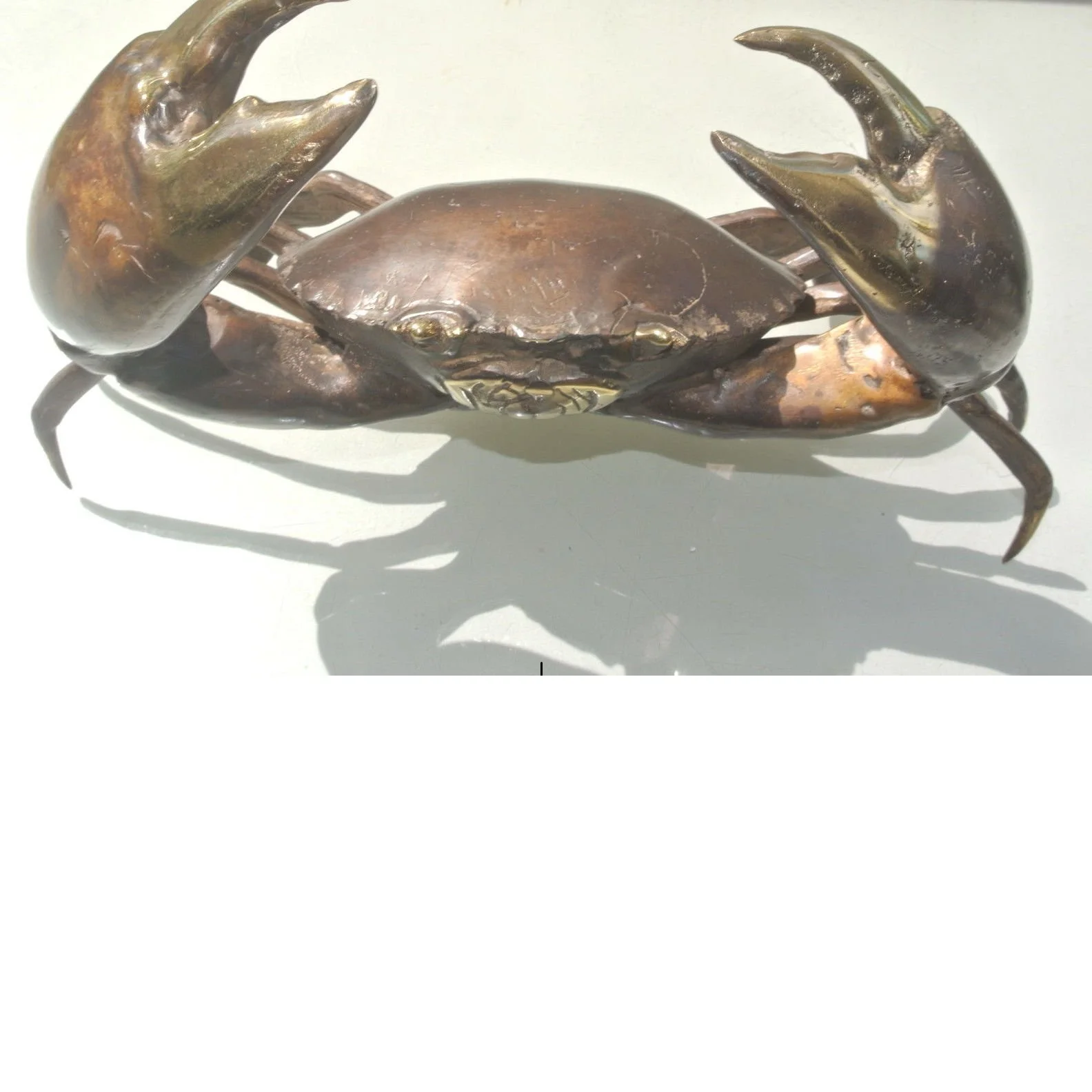 Hot Sale Live Mud Crabs, Blue Crabs, King Crabs /Live Seafood/ Frozen King Crab